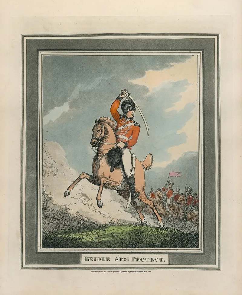 Bridle Arm Protect