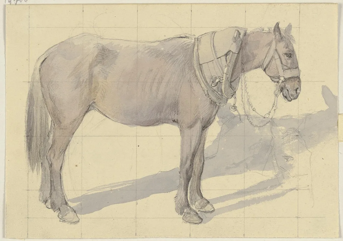 Bridled Horse by Jakob Becker - Canvas Print
