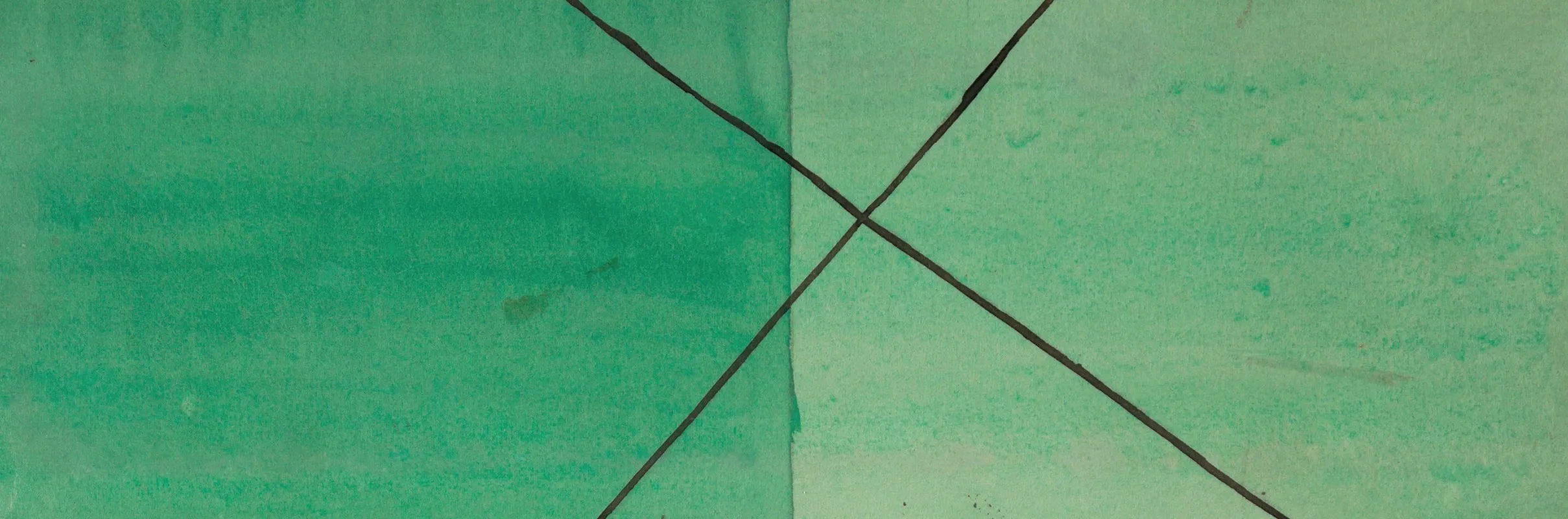 Brillenschlange Spectacled Snake