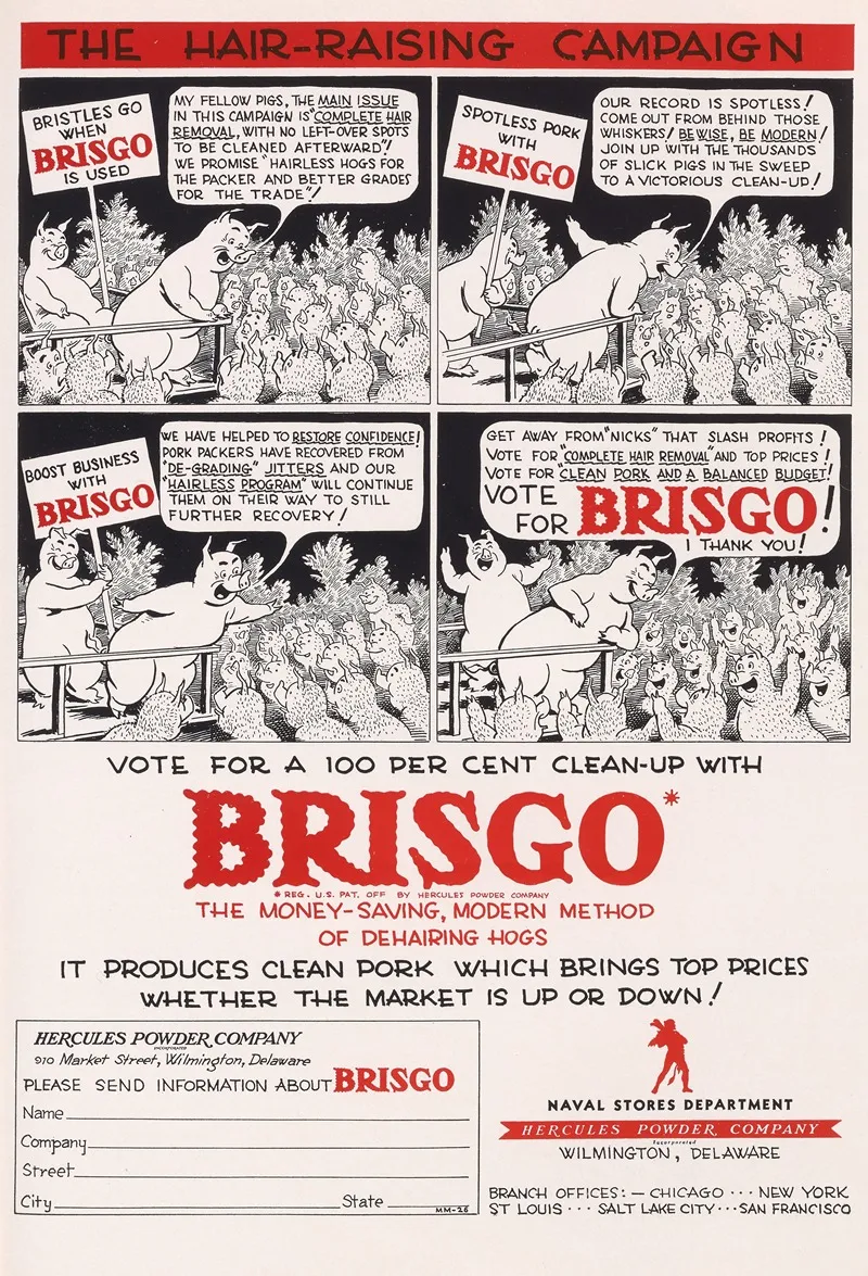 Brisgo The Hair Raising Campaign by Hercules Incorporated - Canvas Print