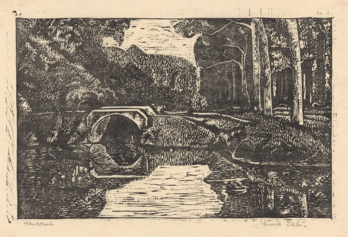 Brug Over Een Gracht In Een Bos