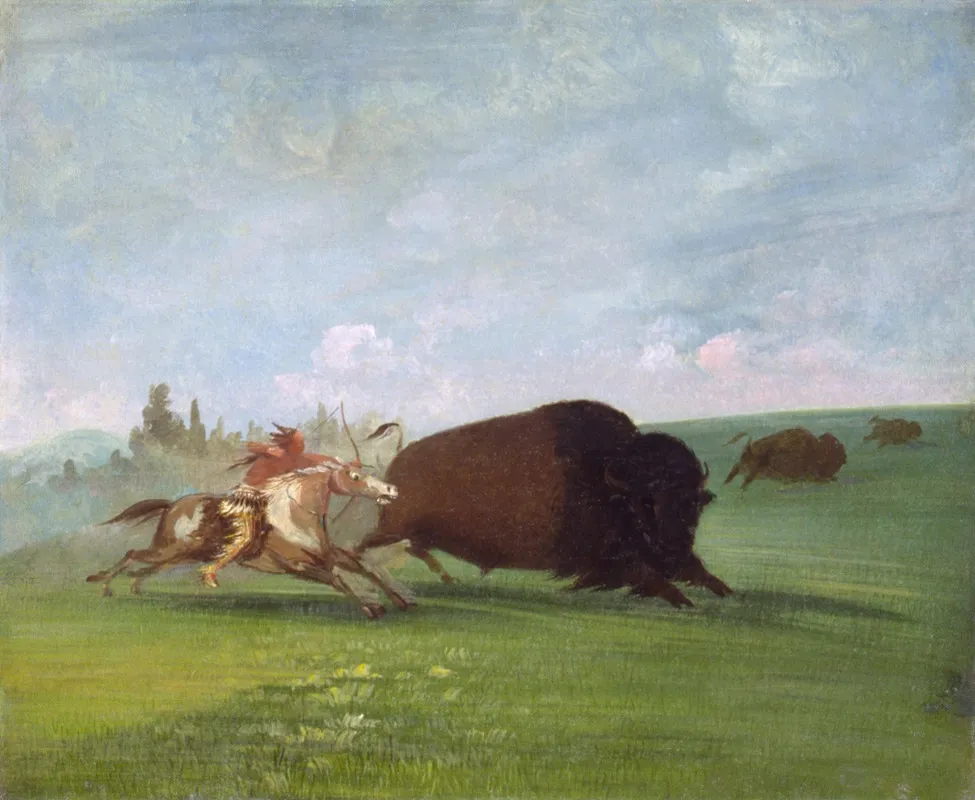 Buffalo Chase A Single Death