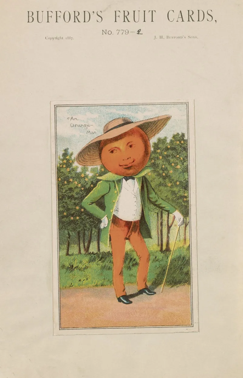 Buffords Fruit Cards No 779 2 Orange