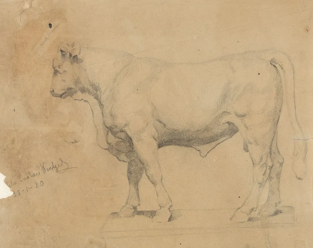 Bull 7 by Gustav Wentzel - Canvas Print