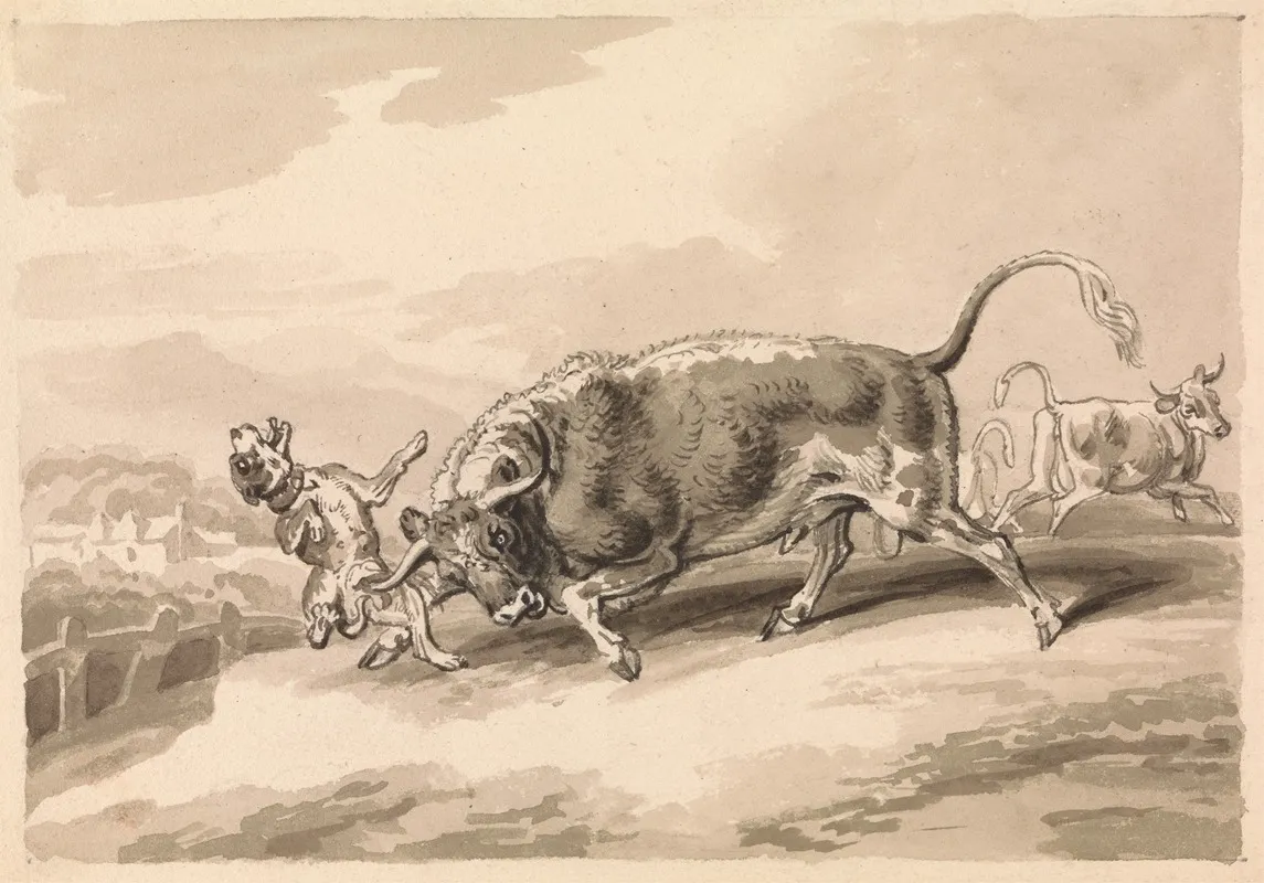 Bull Attacking Mastiff