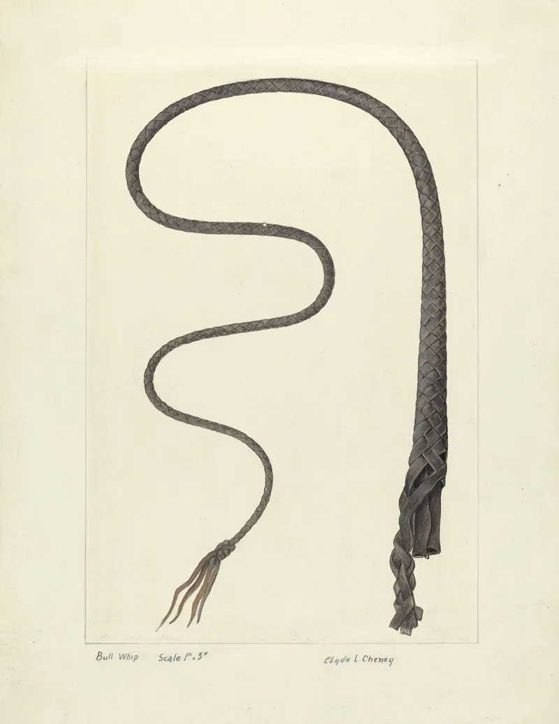 Bull Whip by Clyde L. Cheney - Canvas Print