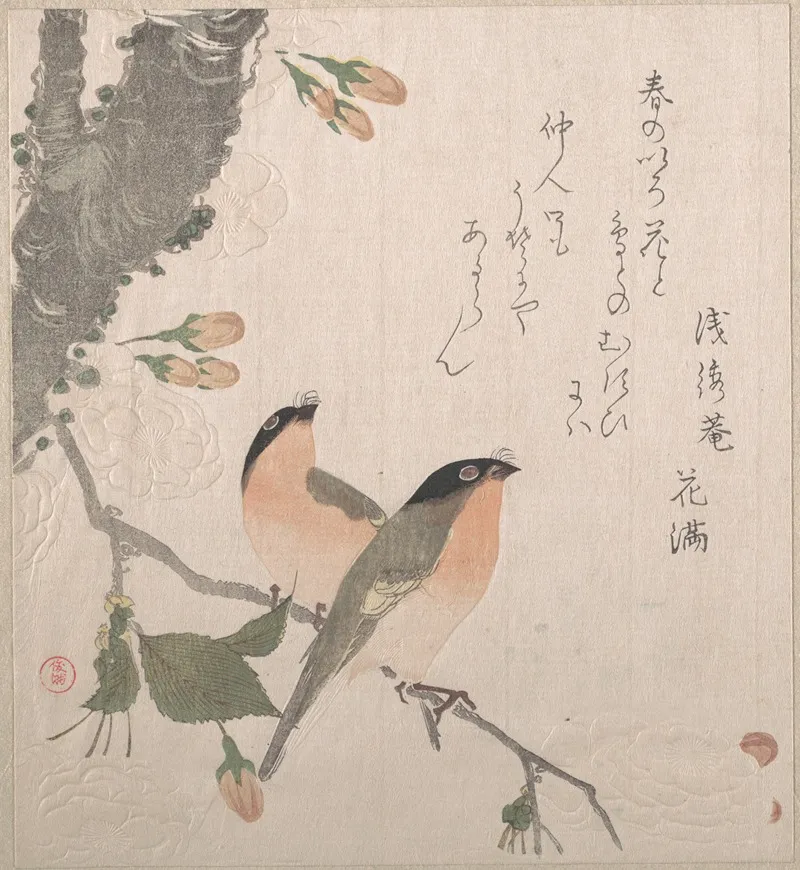 Bullfinches And Cherry Blossoms