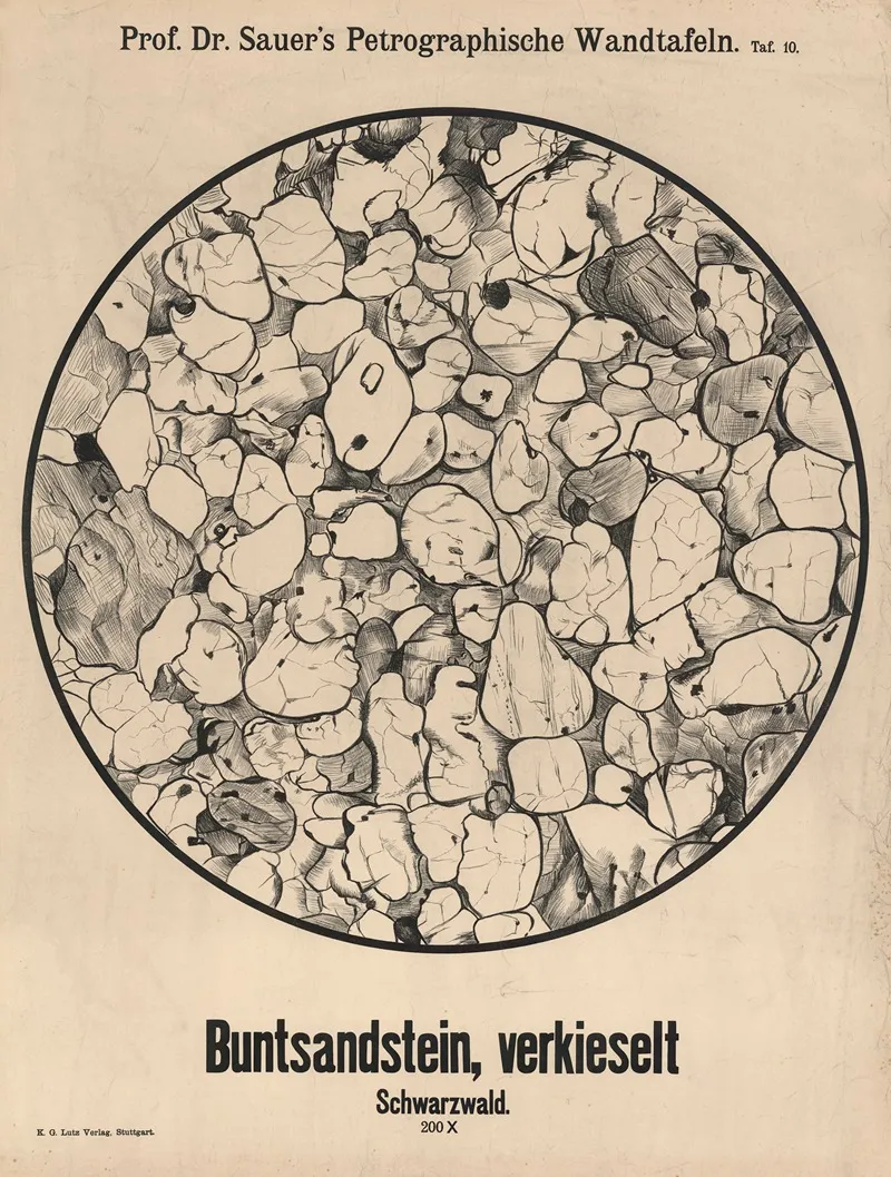 Bunter Sandstone Silicified Black Forest