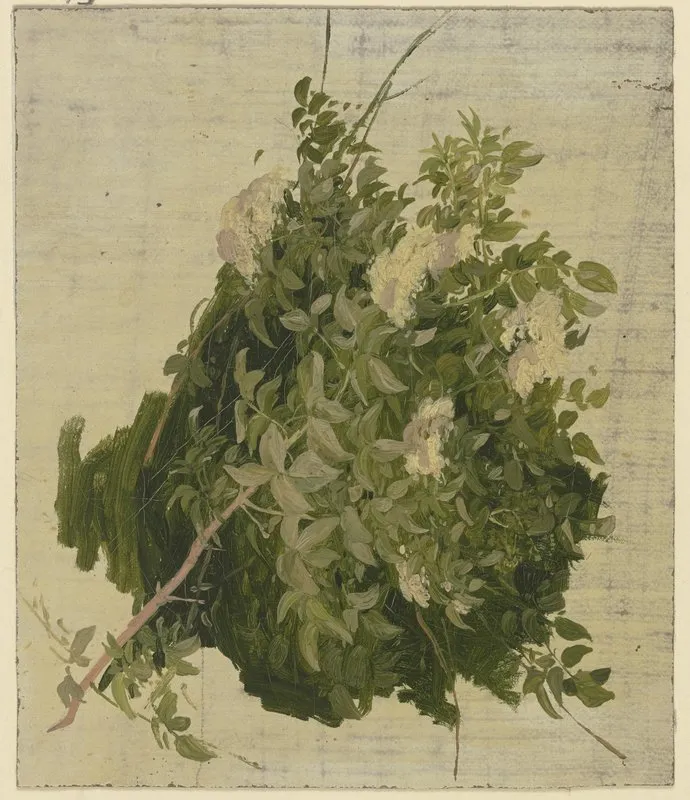 Bush With White Blossoms