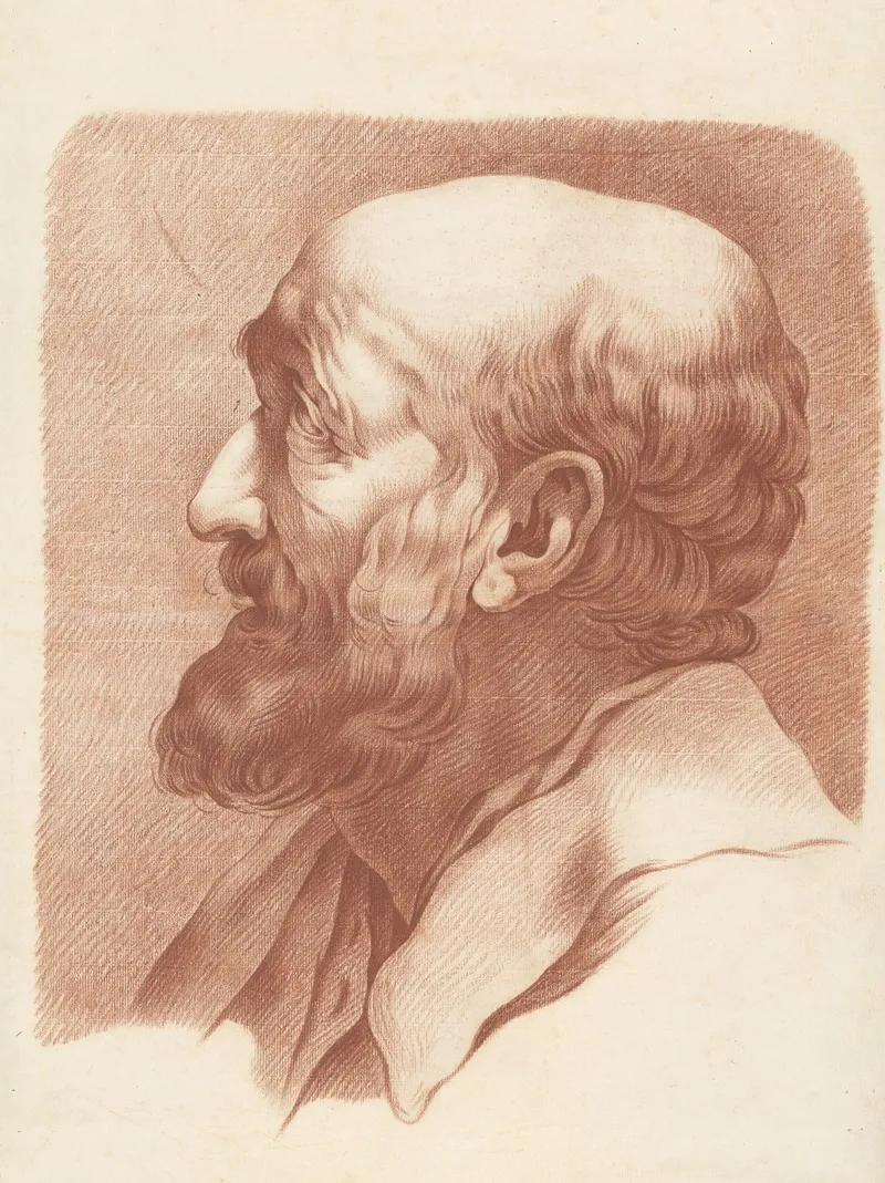 Bust Of A Bearded Man 2 by Joannes Zegers  - Canvas Print