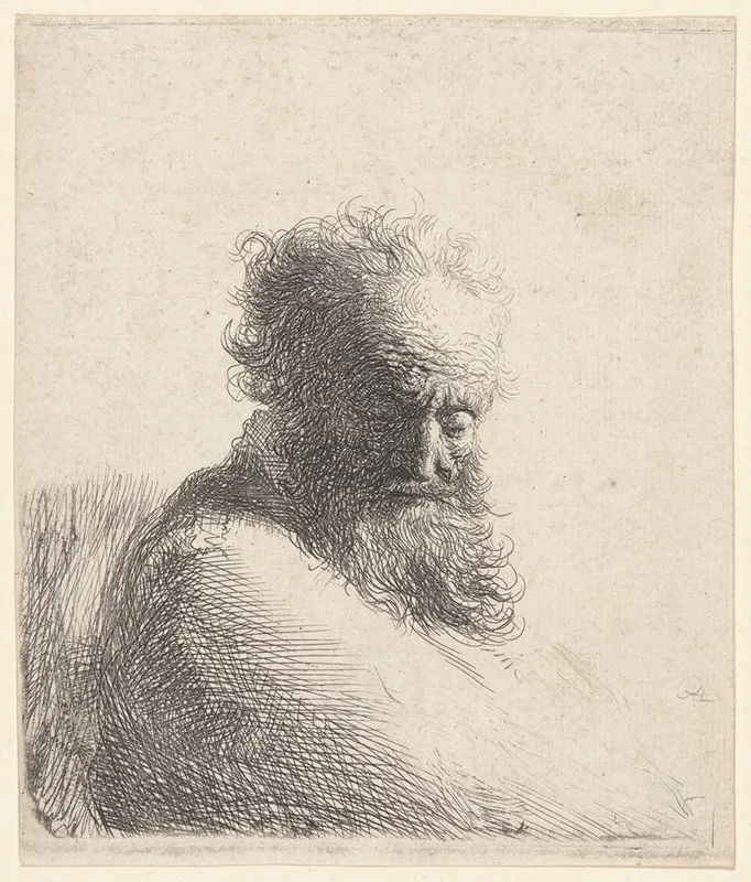 Bust Of An Old Bearded Man Looking Down by Rembrandt van Rijn - Canvas Print