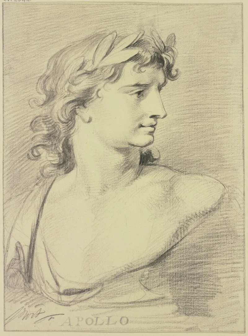 Bust Of Apollo