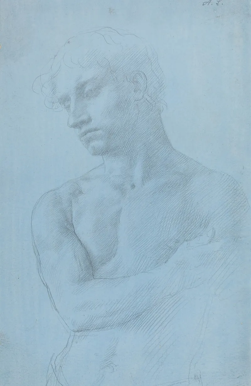 Bust Of Nude Man