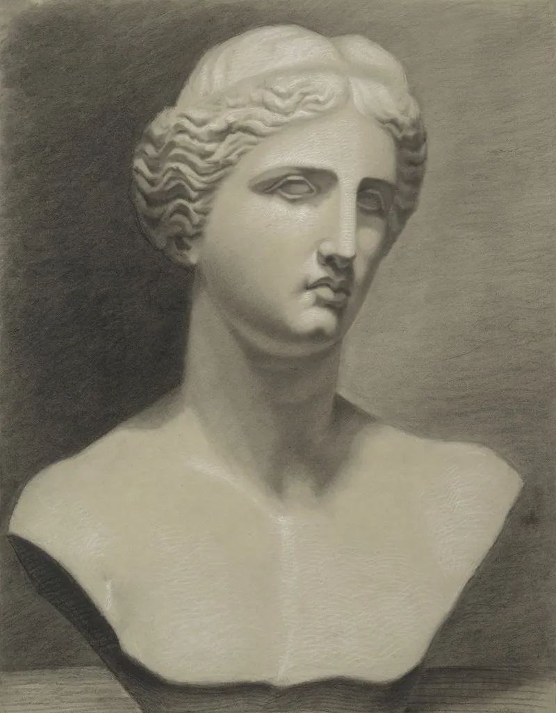 Bust Of Venus De Milo