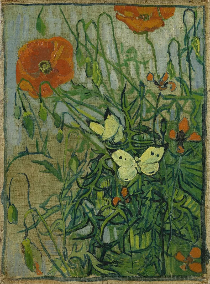 Butterflies And Poppies