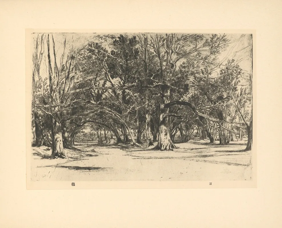By Road‎ ‎in‎ ‎tipperary by Francis Seymour Haden - Canvas Print