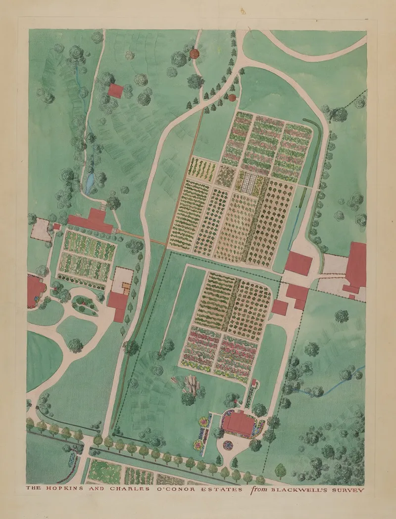 C Oconnor And J M Hopkins Estate