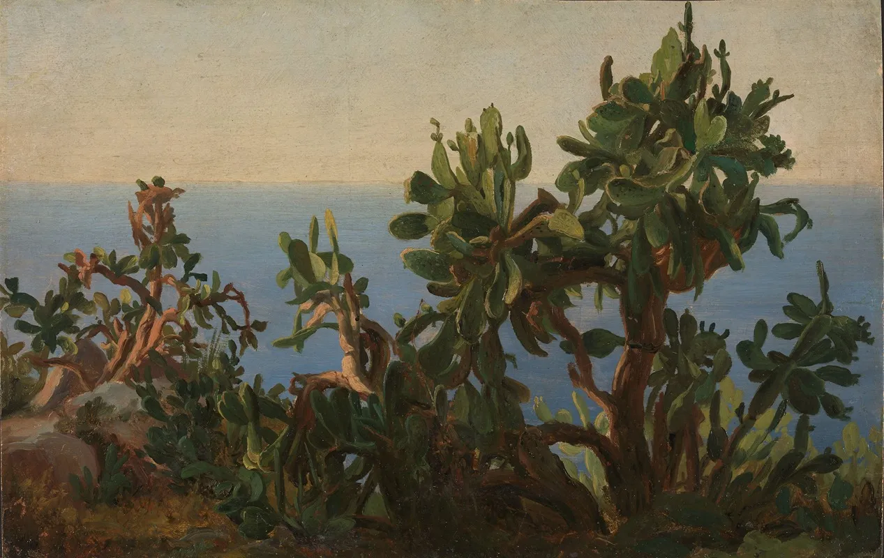Cactus by Thomas Fearnley - Canvas Print