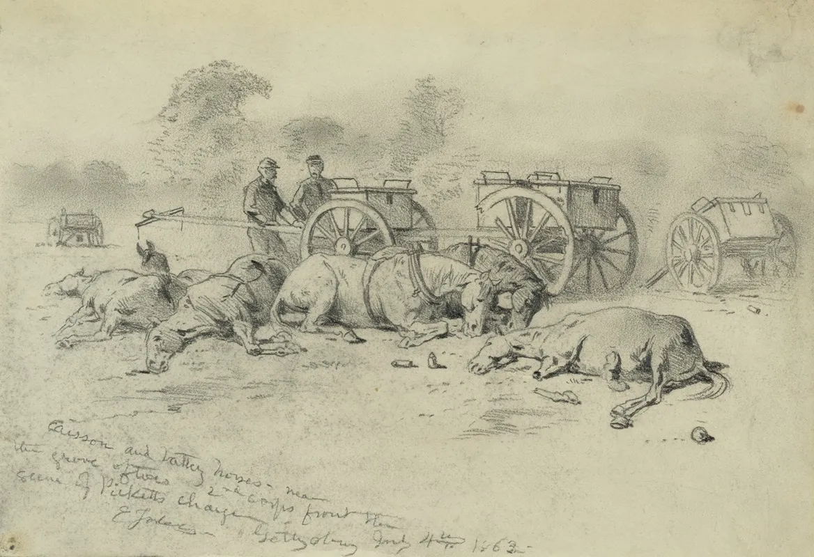 Caisson And Battery Horses Near The Grove Of Trees