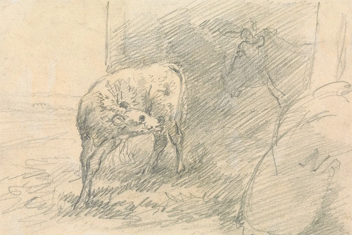Calf With Head Of A Cow
