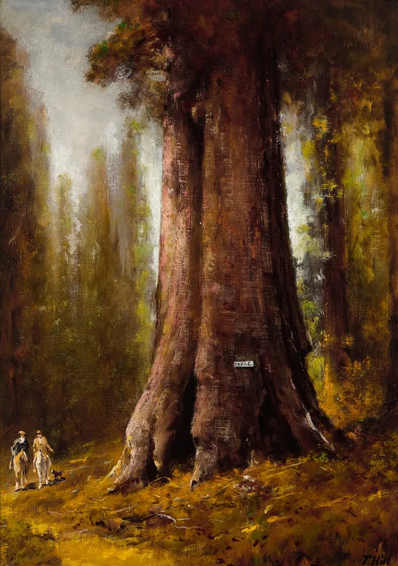 California Redwood Trees by Thomas Hill - Canvas Print