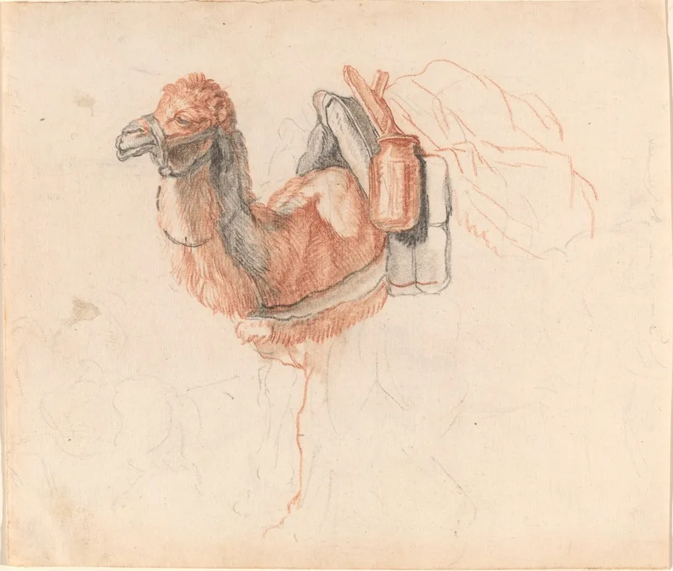 Camel