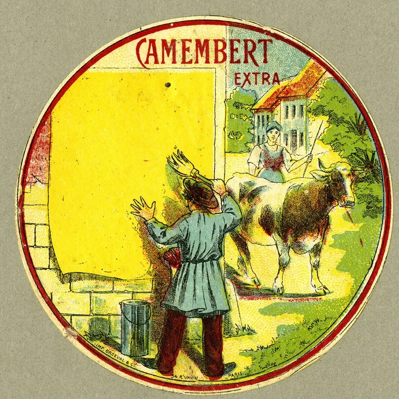 Camembert Extra 4