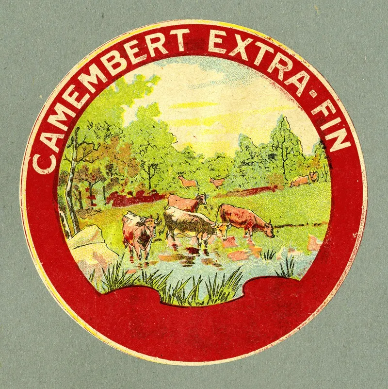 Camembert Extra Fin 2