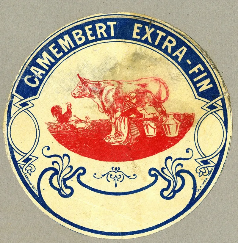 Camembert Extra Fin 3