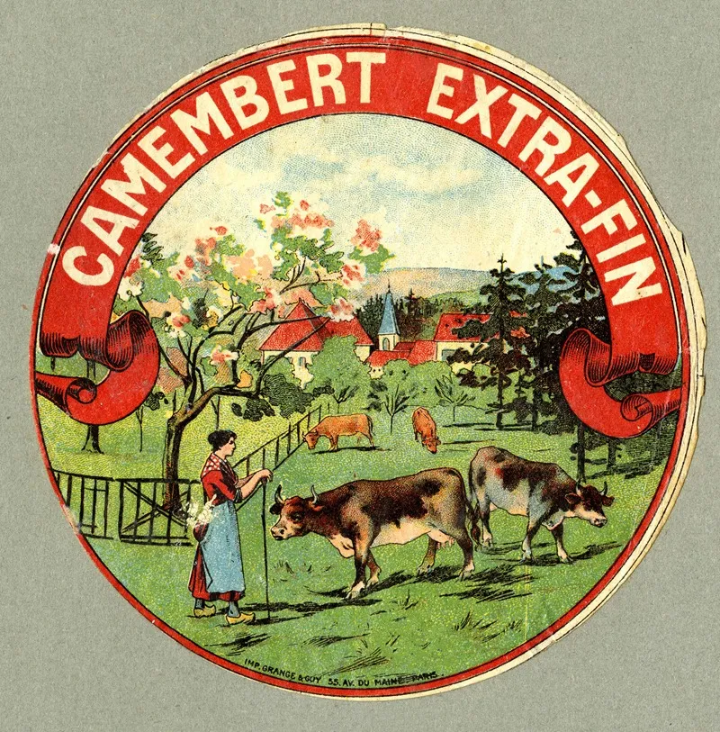 Camembert Extra Fin 4