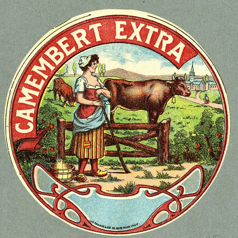 Camembert Extra