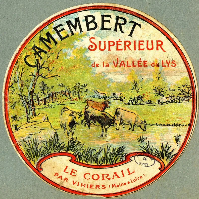 Camembert Superieur De La Vallee Du Lys