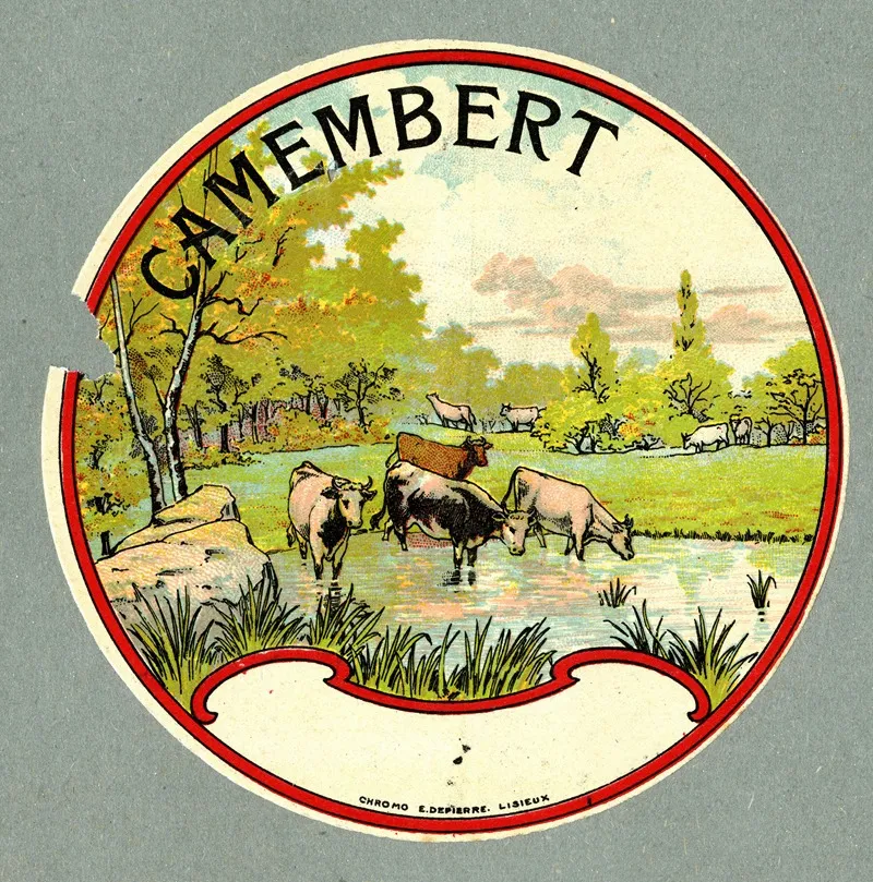 Camembert
