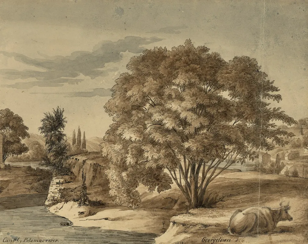 Canal Potomac River Georgetown by Augustus Köllner - Canvas Print