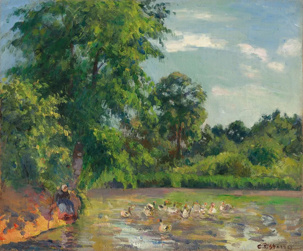 Canards Sur Letang De Montfoucault