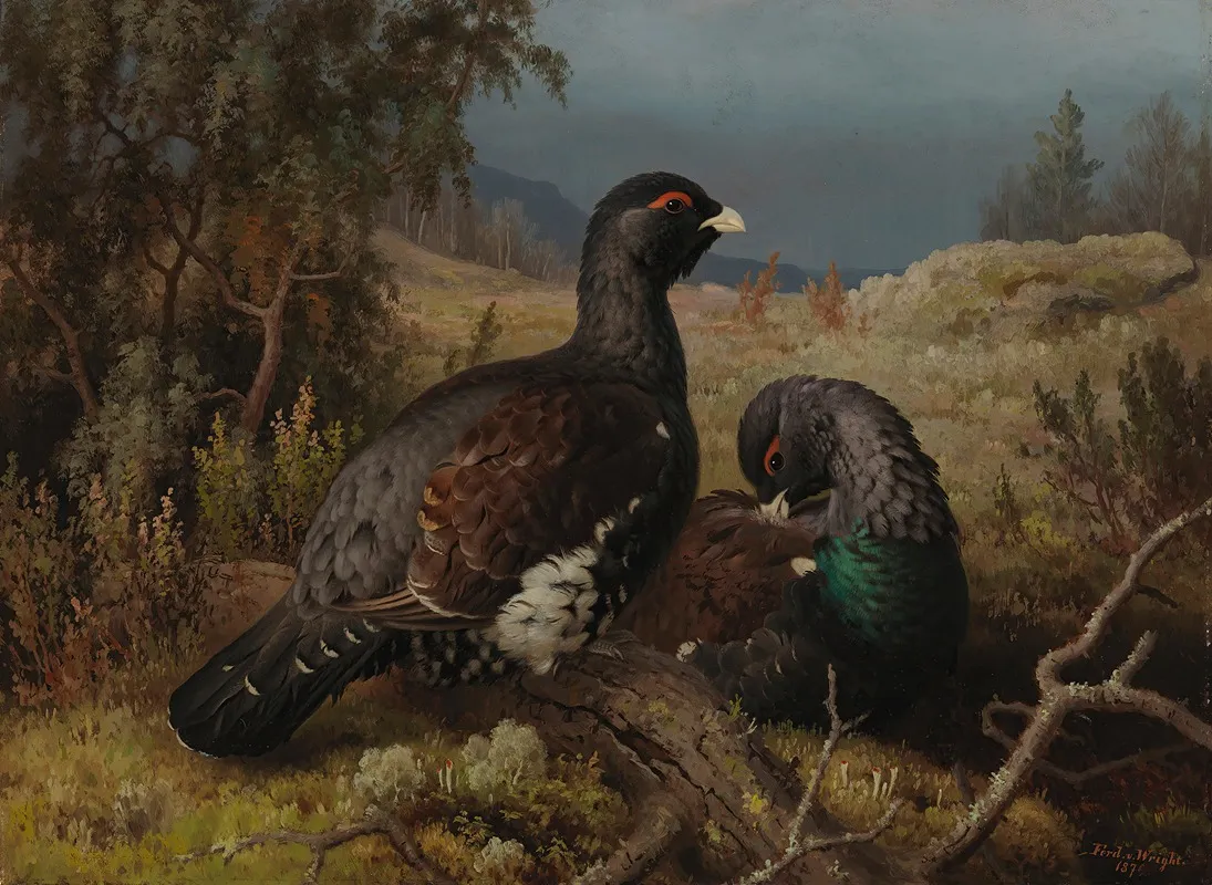 Capercaillie Cocks by Ferdinand von Wright - Canvas Print