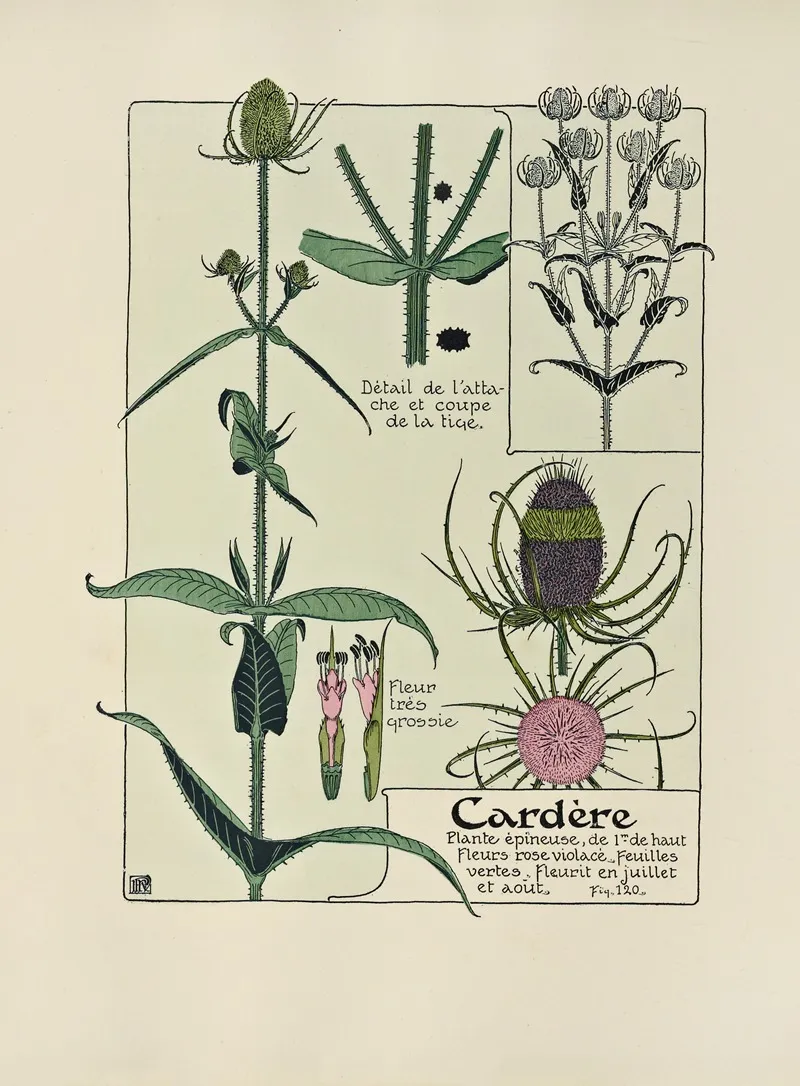 Cardere by Maurice Pillard Verneuil - Canvas Print