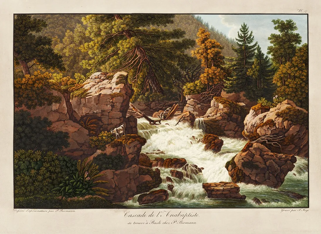 Cascade De Lanabaptiste by Peter Birmann - Canvas Print