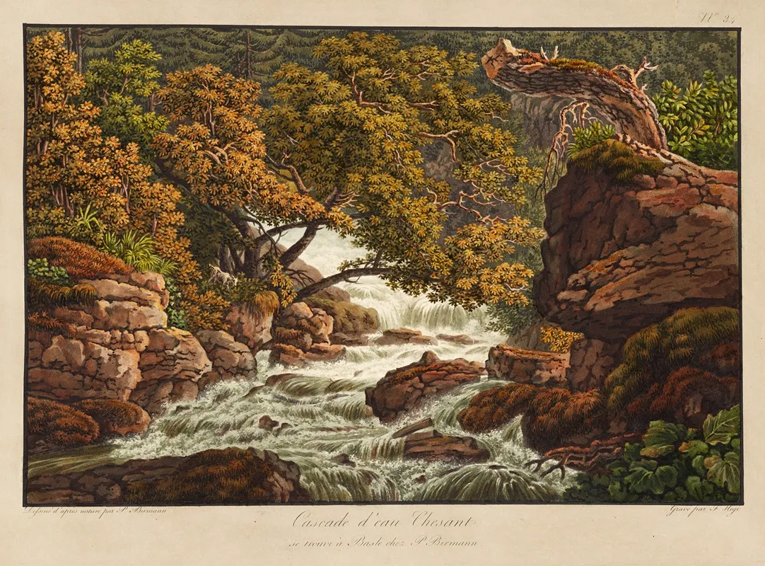 Cascade Deau Chesant by Peter Birmann - Canvas Print