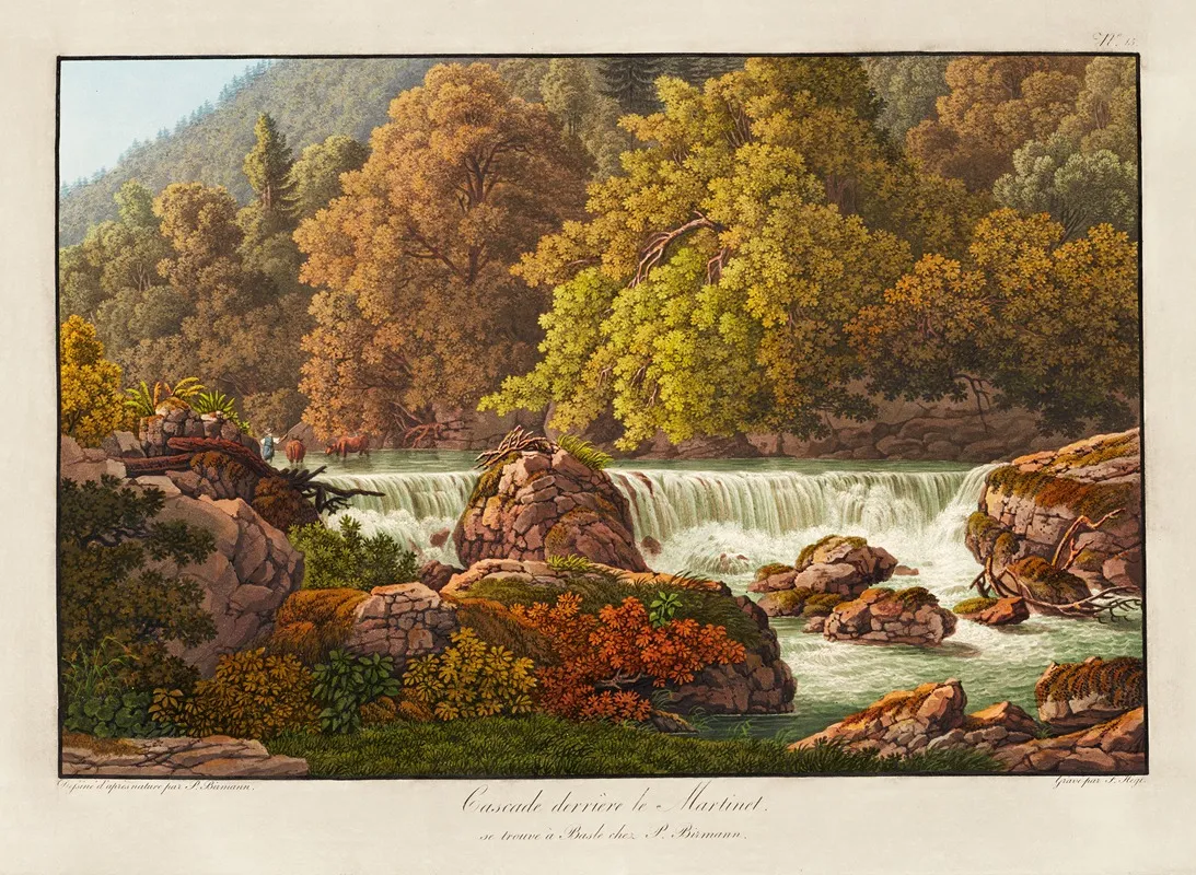 Cascade Derriere Le Martinet by Peter Birmann - Canvas Print