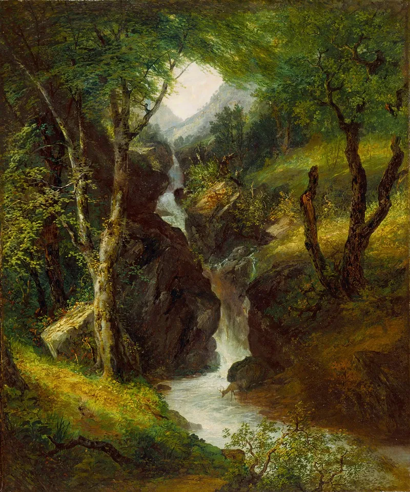 Cascade In The Forest by John Frederick Kensett - Canvas Print