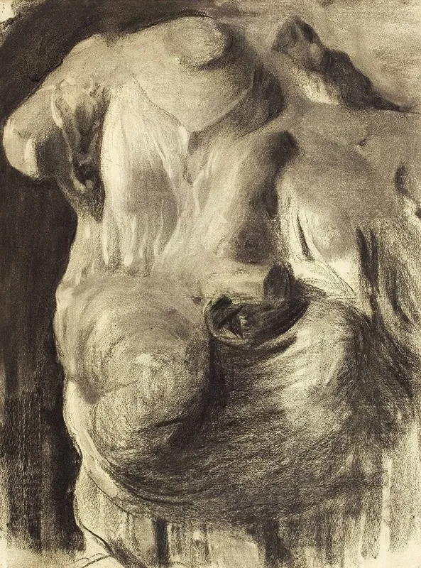 Cast Study Draped Torso
