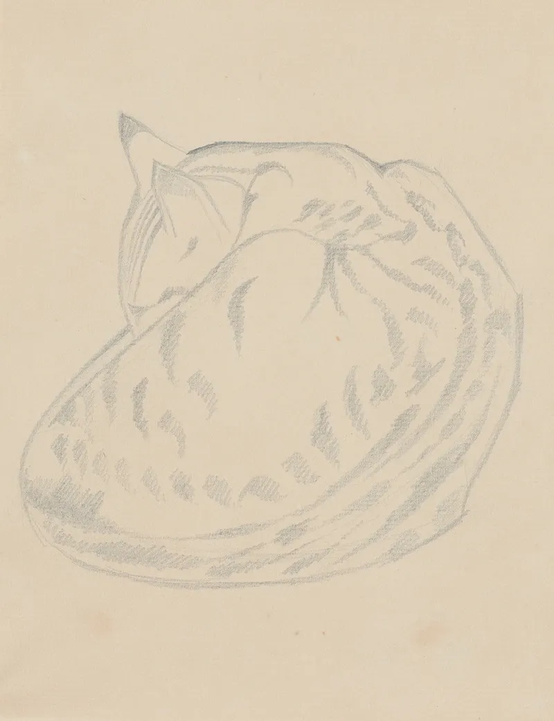 Cat Sleeping by Henri Gaudier-Brzeska - Canvas Print