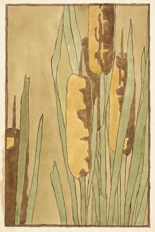 Cattail