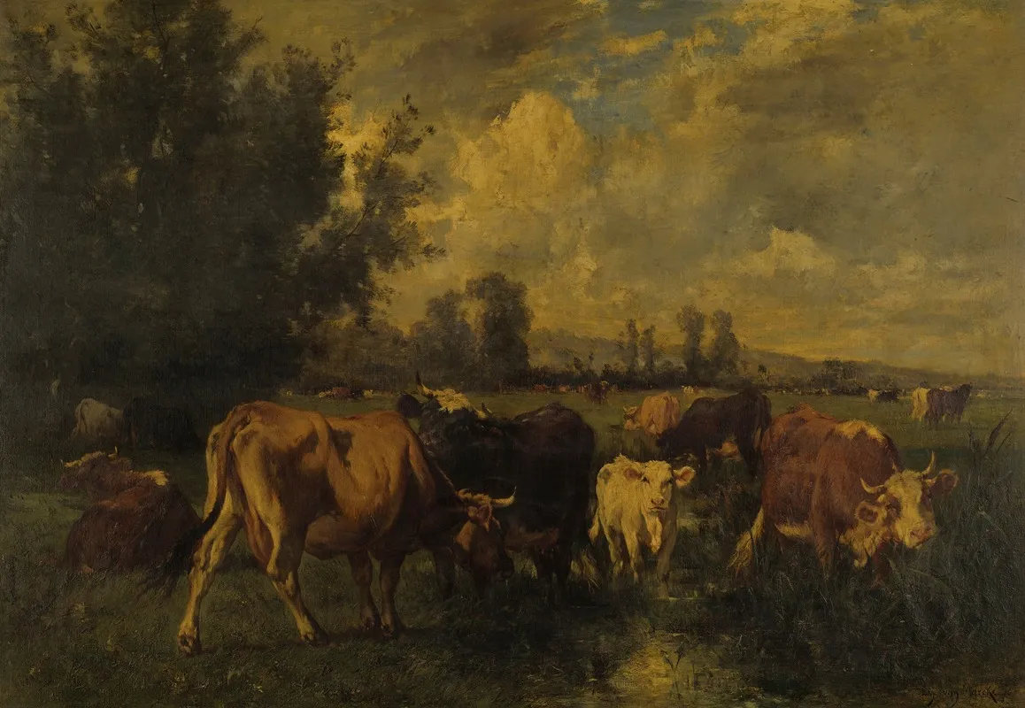 Cattle In A Field