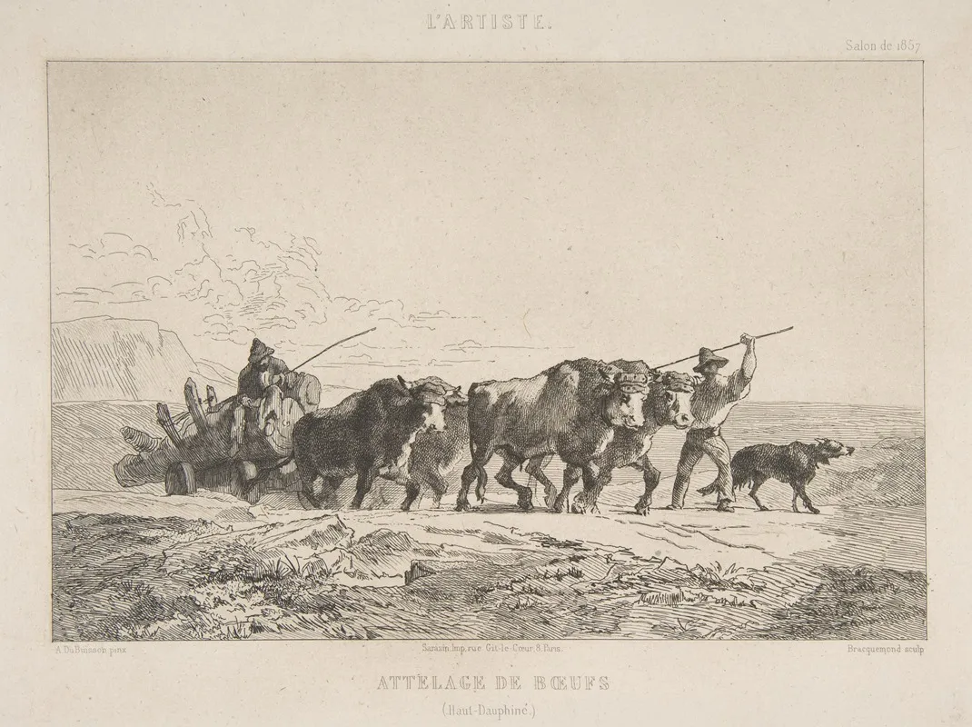 Cattle Team Haut Dauphine