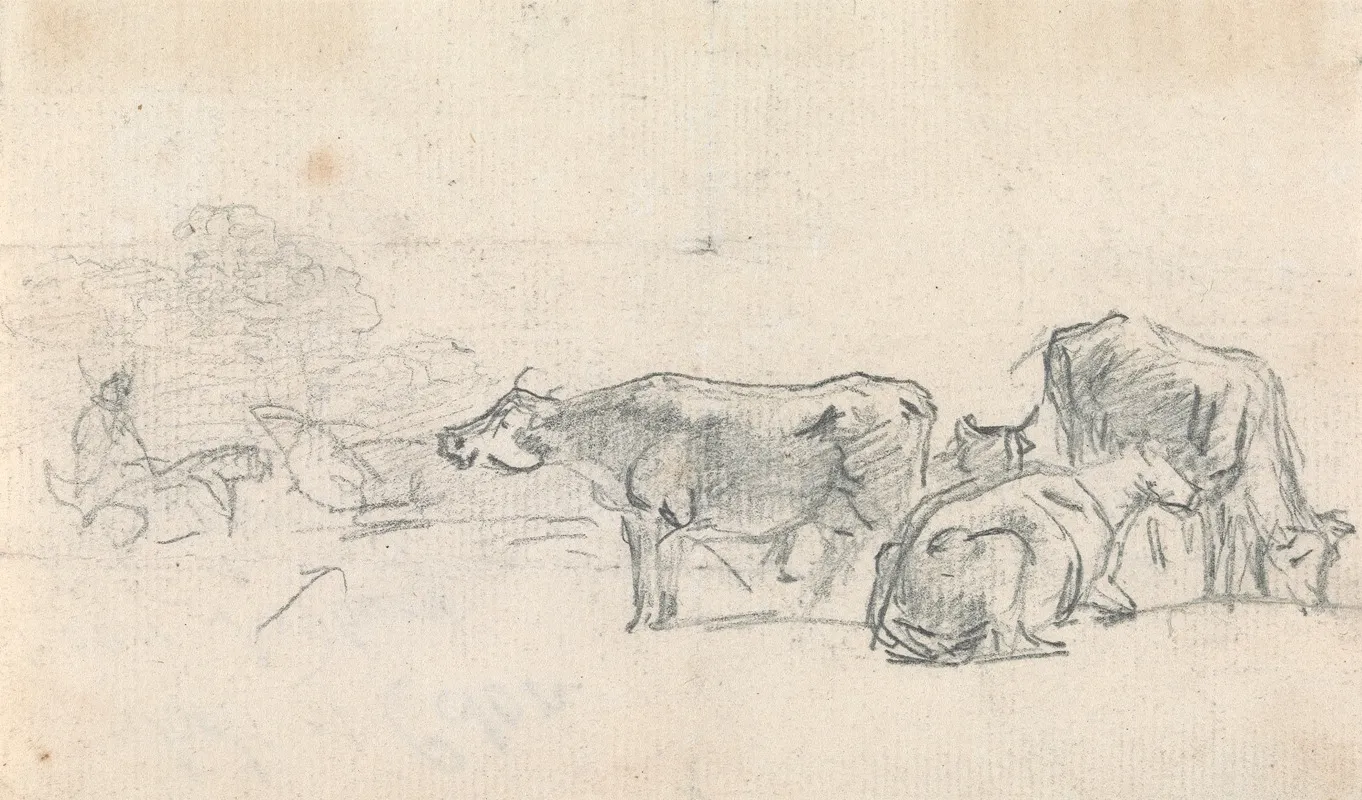 Cattle With Herder In Background