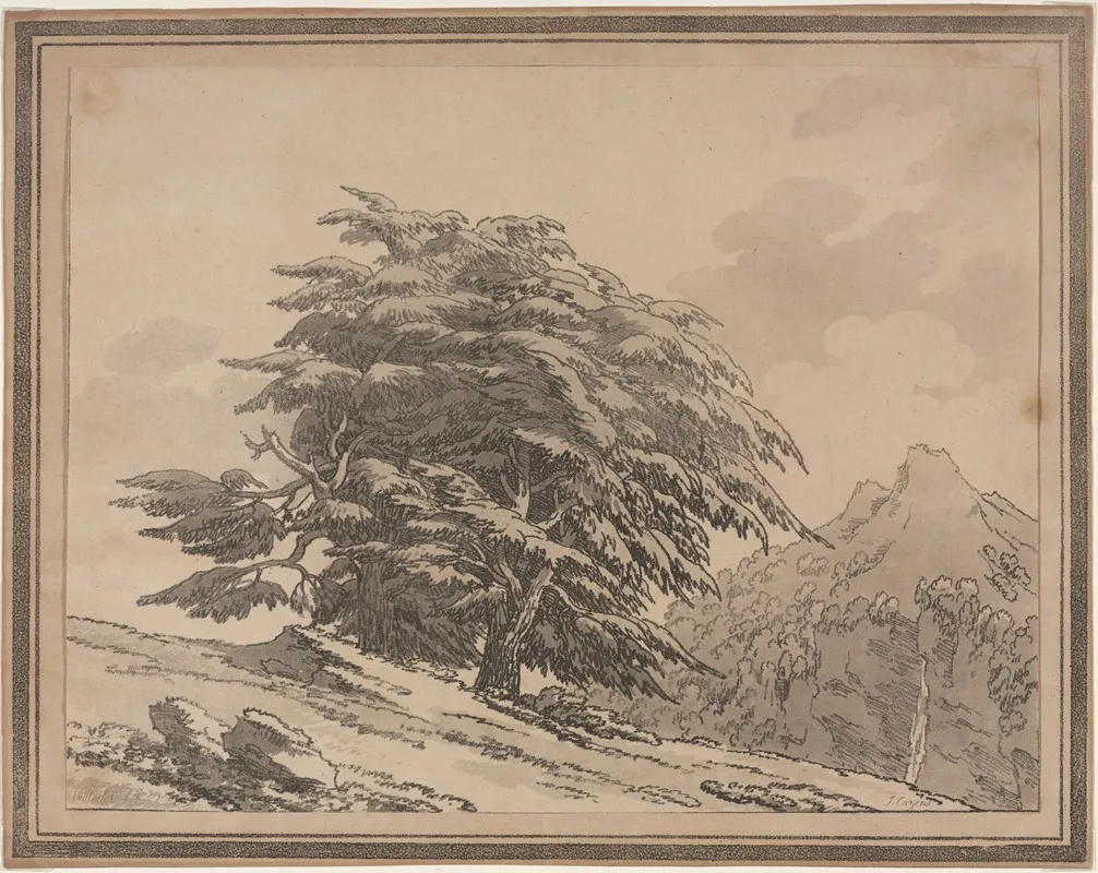 Cedar by John Robert Cozens - Canvas Print