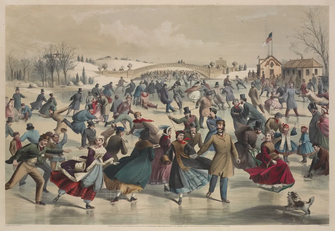 Central Park Winter The Skating Pond New York