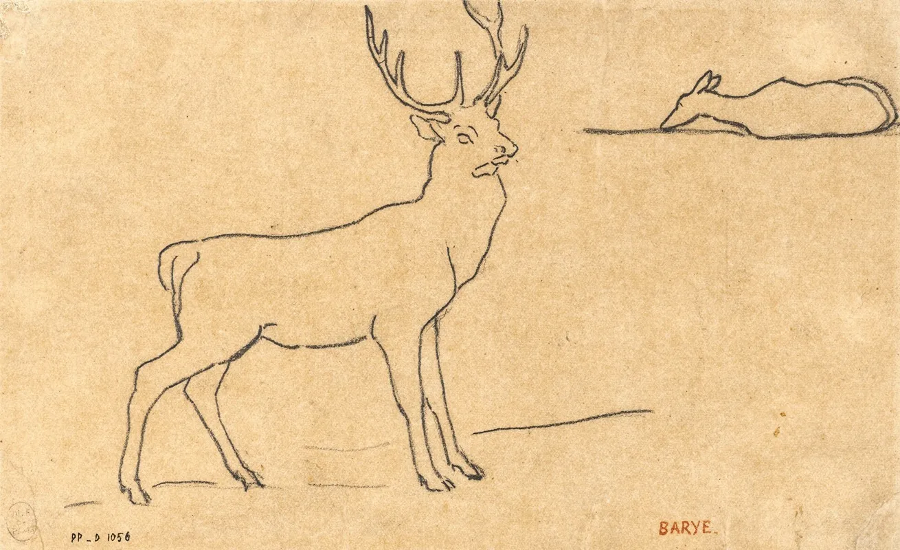 Cerf Debout A Droite